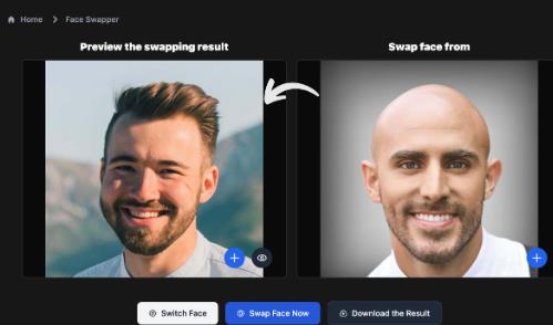 Swap Faces, Swap Fun: Face Swap AI